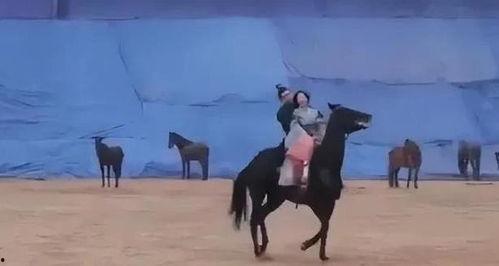 赵露思在圈内人爆料,揭秘明星背后的真实故事